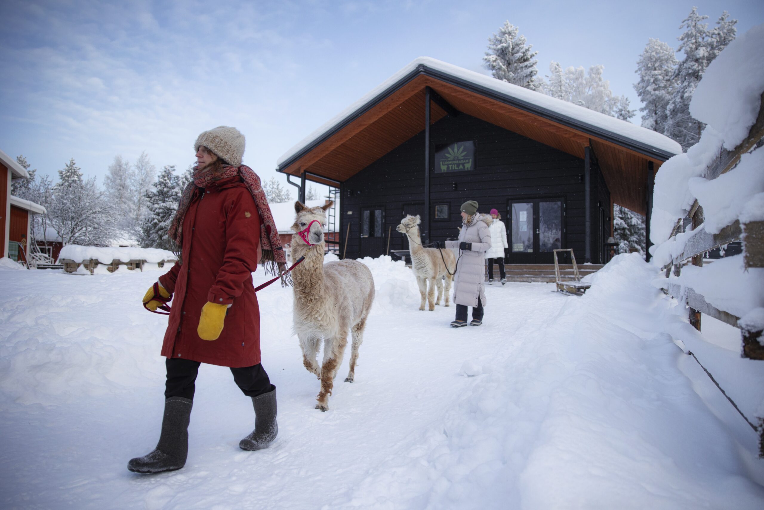 Pieni piilotettu helmi