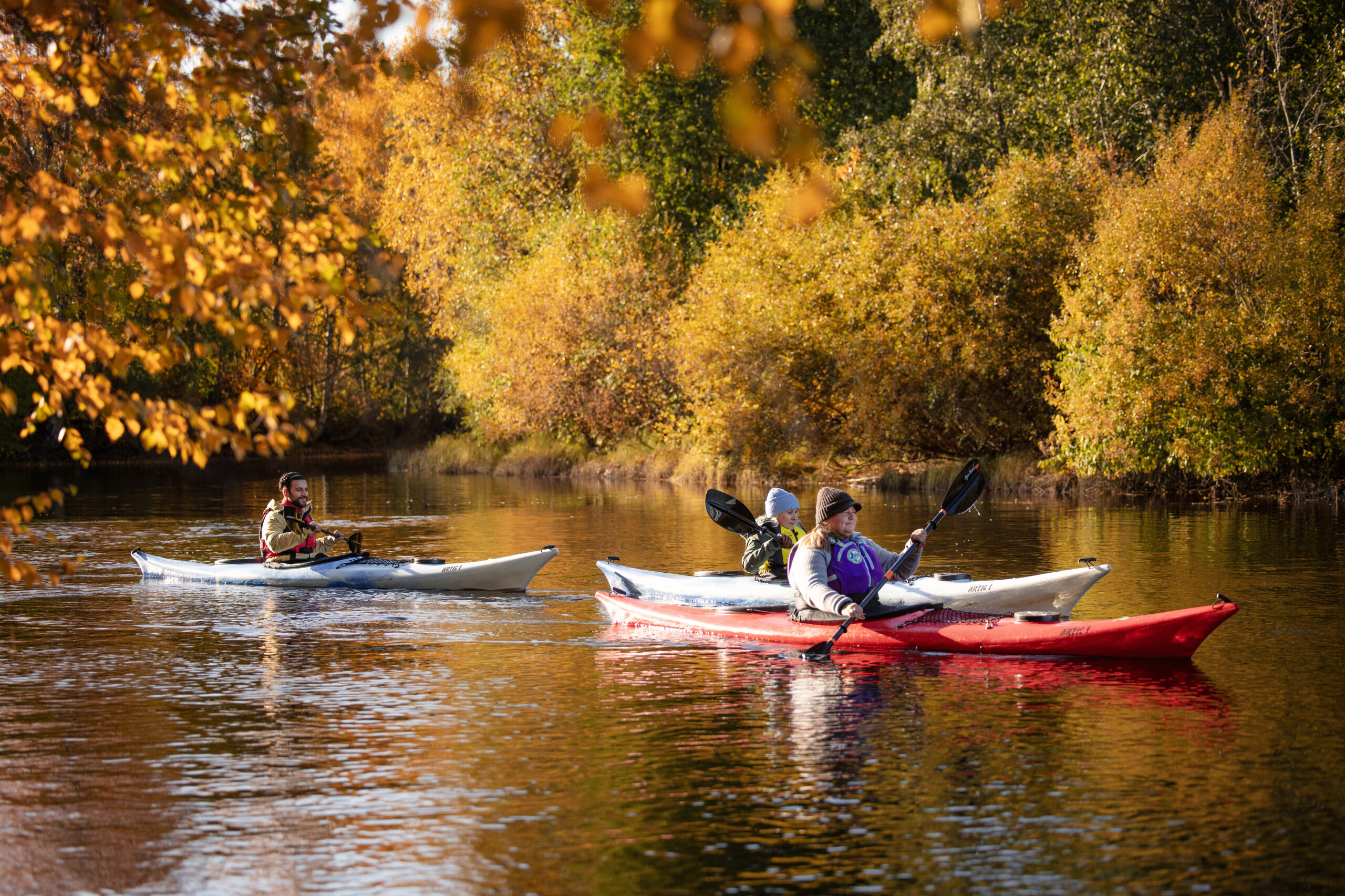 New way to discover Finland: road trip from warm coastal breezes to ruska landscapes in late summer & fall