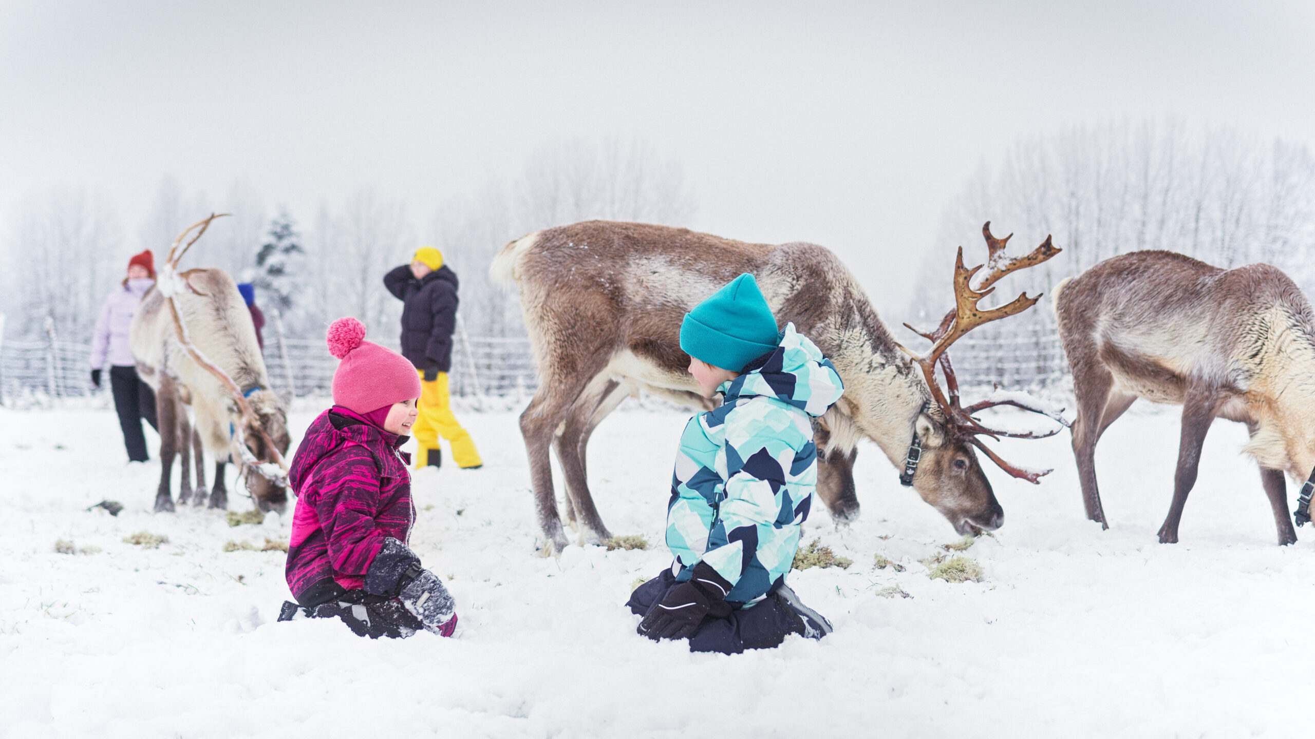 Koko porukka vaan nauroi