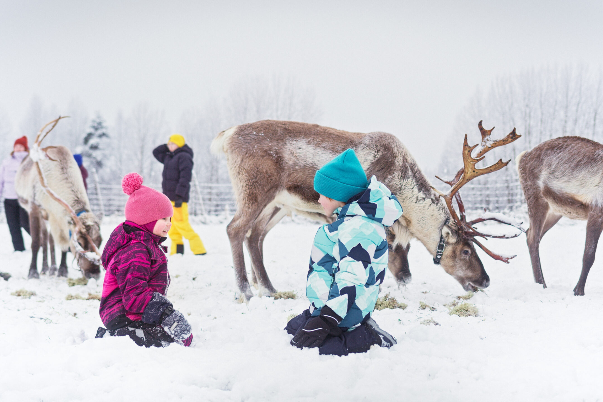 Koko porukka vaan nauroi