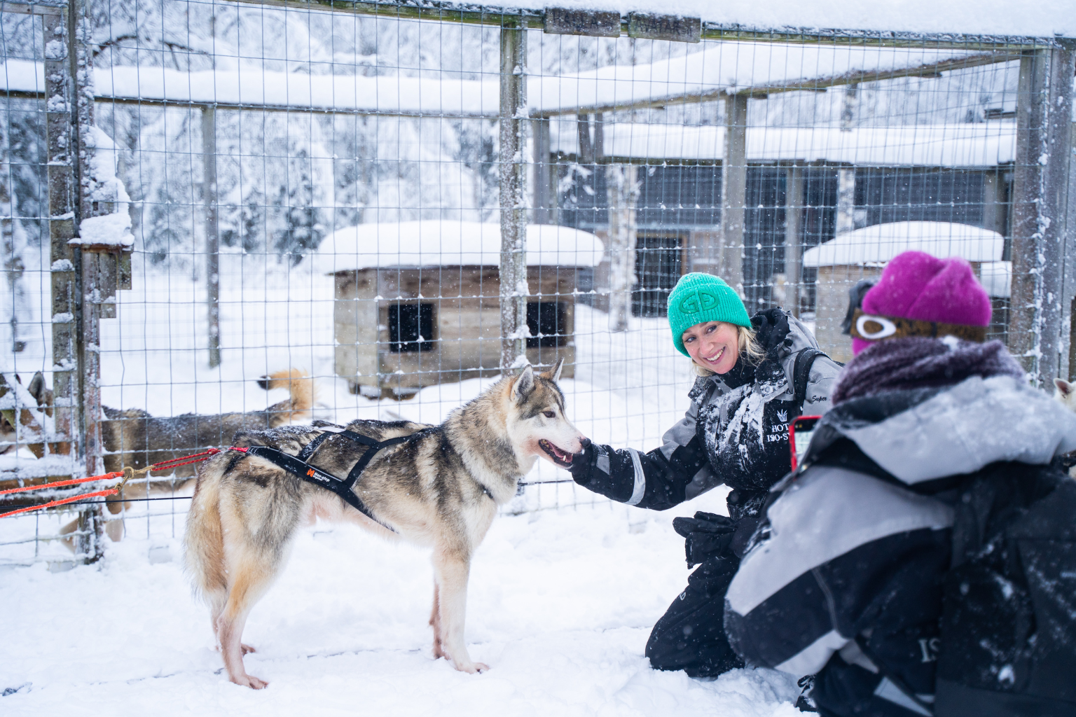Tiimi- ja virkistyspäivät: monenlaista ohjelmaa ryhmille