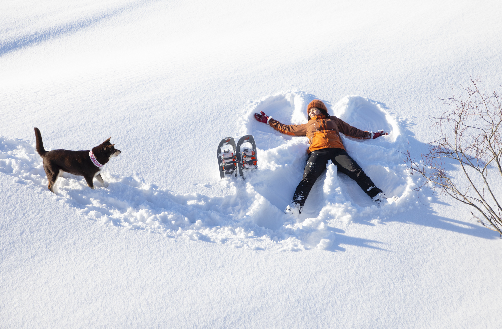 Luonnonystävän paratiisissa