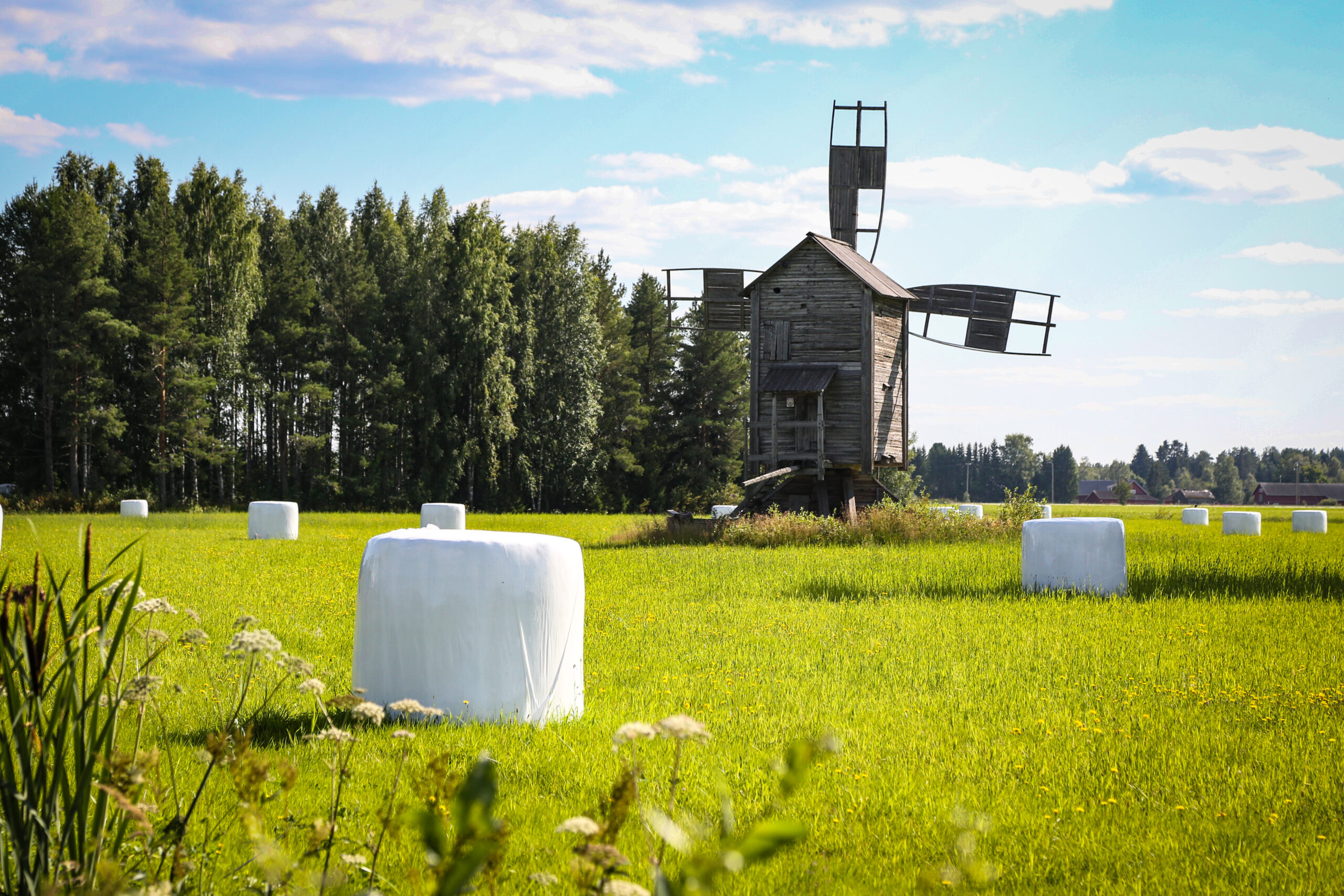 Merellinen maalaisidylli